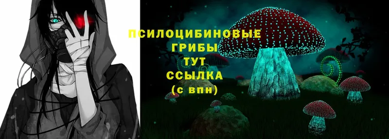 дарк нет формула  Калач  Псилоцибиновые грибы Psilocybe 